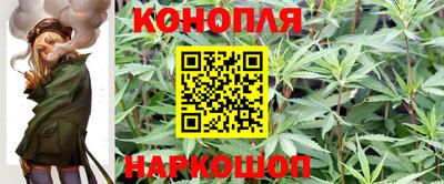 apvp Ирбит