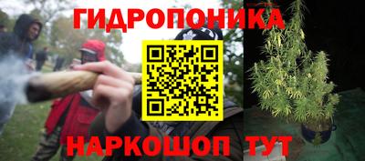 apvp Ирбит
