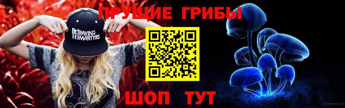 Кувандык  Галлюциногенные грибы Cubensis  Вход с VPN  Галлюциногенные грибы Psilocybe 